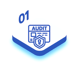 Cyberaudit Scan